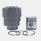 Kit (Piston + Set segmenti + Camasa cilindru): HATZ / E89 / Nr. referinta: 003 347 01-K