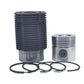Kit (Piston + Set segmenti + Camasa cilindru): HATZ / E108 / Z108 / D108 / V108 / Nr. referinta: 004 250 00-K
