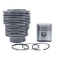 Kit (Piston + Set segmenti + Camasa cilindru): HATZ / E89 / Nr. referinta: 003 347 01-K