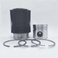 Kit (Piston + Set segmenti + Camasa cilindru-RĂCIT AER- Diametru: 98,425 mm): LISTER / TR-1 / TR-2 / TR-3
