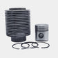 Kit (Piston + Set segmenti + Camasa cilindru): HATZ / E80 / Nr. referinta: 003 275 02-K