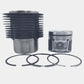 Kit (Piston + Set segmenti + Camasa cilindru): HATZ / 1D81 / Nr. referinta: 013 135 41-K