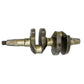 Arbore cotit: RUGGERINI / RD 270 / RD 900/901 / Nr. referinta: 2391