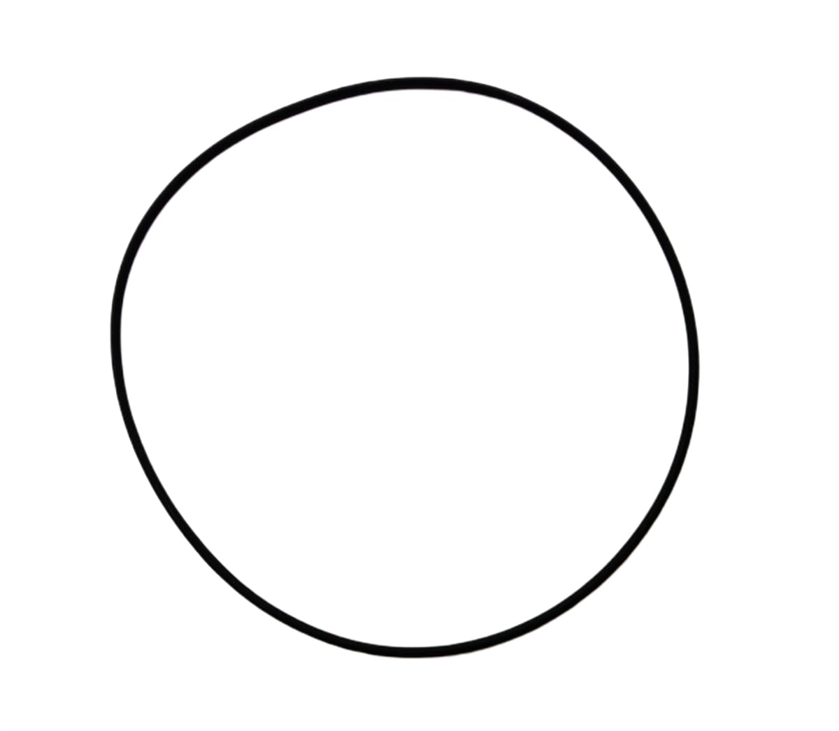 O-RING (117*3.5 (Slicon): SAME / LAMBORGHINI / 1000.3 / 1000.4 / 1000.6 / Nr. referinta: 2.1539.130.0 / 10