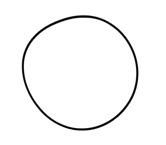 O-RING (117*3.5 (Slicon): SAME / LAMBORGHINI / 1000.3 / 1000.4 / 1000.6 / Nr. referinta: 2.1539.130.0 / 10