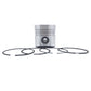 Piston + Set segmenti (0,50 - Diametru: 100,50 mm): LOMBARDINI / LDA 832 / LDA 833 / LDA 834 / 5LD 825-2;3;4