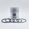 Piston + Set segmenti (0,50 - Diametru: 102,15 mm): LISTER / HA-2 / HA-3 / HA-4 / HA-6 / HB-1 / HB-2 / HB-3 / HB-4 / HW-1 / HW-2 / HW-43