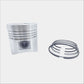Piston + Set segmenti (0,50 - Diametru : 102,50 mm): LOMBARDINI / 4LD 820
