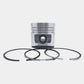 Piston + Set segmenti (0,50 - Diametru: 103,50 mm): SAME / LAMBORGHINI / 916.4 A / 916.6 W / Nr. referinta: 0.069.0061.6-S