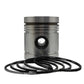 Piston + Set segmenti (0,50 - Diametru: 108,45 mm): LISTER / HR / HL / HLT