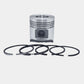 Piston + Set segmenti (0,50 - Diametru: 85,50 mm): RUGGERINI / RD 85 / RD 850 / RF 100 / Nr. referinta: 2131-S