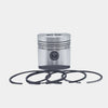 Piston + Set segmenti (0,50 - Diametru: 95,50 mm): RUGGERINI / RD 270 / RD 278 / RD 952 / Nr. referinta: 2493-S