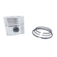 Set piston si segmenti (0.50 - OVERSIZE - Diametru: 95.50 mm) :  RUGGERINI / RD 290