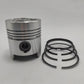 Piston + Set segmenti (0,50 - Diametru: 96,50 mm): SLANZI / DVA 1500 / DVA 2200 / DVA 2900 / Nr. referinta: 6500 616-S