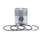 Piston + Set segmenti (0,50 - Diametru:100,50 mm): SAME / LAMBORGHINI / FL 1002 / FL 1003
