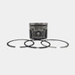 Piston + Set segmenti (0,50): HATZ / 1D81 / Nr. referinta: 013 146 41-S