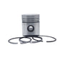 Piston + Set segmenti (0,50): HATZ / E80 / Nr. referinta: 003 275 22-S