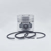 Piston + Set segmenti (1,00 - Diametru : 101,00 mm): LOMBARDINI / 7LD 740 / 8LD 740-2