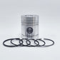 Piston + Set segmenti (1,00 - Diametru: 102,65 mm): LISTER / HA-2 / HA-3 / HA-4 / HA-6 / HB-1 / HB-2 / HB-3 / HB-4 / HW-1 / HW-2 / HW-43 / HW-2 / HW-4