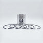 Piston + Set segmenti (1,00 - Diametru: 108,95 mm): LISTER / HRS / HRWS / HR / HRA / HRW