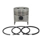 Piston + Set segmenti (1,00 - Diametru: 81,00 mm): RUGGERINI / RD 80 / Nr. referinta: 2338-S
