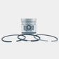 Piston + Set segmenti (1,00 - Diametru: 81,00 mm): RUGGERINI / RF 80 / RF 81 / RF 88 / Nr. referinta:A 2079-S