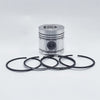 Piston + Set segmenti (1,00 - Diametru: 83,55 mm): LISTER / LT-1 / LT-2