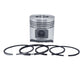 Set piston si segmenti (1.00-OVERSIZE - Diametru: 86.00 mm) : RUGGERINI / RD 85 / RD 850 / RF 100 / Nr. referinta: 2132-S