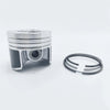 Set piston si segmenti (1.00-OVERSIZE - Diametru: 87.00 mm): RUGGERINI / RY 110