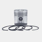 Set piston si segmenti (1.00-OVERSIZE - Diametru: 93.00 mm) : RUGGERINI / RD 920 / RD 92-2 / RD 240 / RD 248 / Nr. referinta: 2272-S