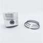 Piston + Set segmenti (1,00 - Diametru: 96,00 mm): RUGGERINI / RD 290