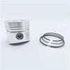 Piston + Set segmenti (1,00 - Diametru: 96,00 mm): RUGGERINI / RD 290