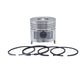 Set piston si segmenti (1.00-OVERSIZE - Diametru: 96.00 mm): RUGGERINI / RF 140 / RF 148 / Nr. referinta: A 2109-S