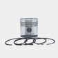Piston + Set segmenti (1,00 - Diametru: 96,00 mm): RUGGERINI / RD 270 / RD 278 / RD 952 / Nr. referinta: 2494-S