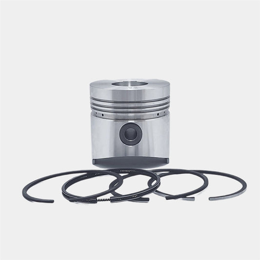 Piston + Set segmenti (1,00 - Diametru: 96,00 mm): RUGGERINI / RD 270 / RD 278 / RD 952 / Nr. referinta: 2494-S