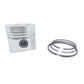 Piston + Set segmenti (1,00 - Diametru: 96,00 mm): RUGGERINI / RD 290