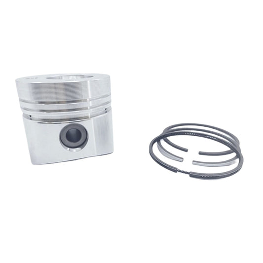 Piston + Set segmenti (1,00 - Diametru: 96,00 mm): RUGGERINI / RD 290