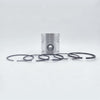 Piston + Set segmenti (1,00 - Diametru: 96,25 mm): LISTER / ST-1 / ST-2 / ST-3 / TS-1 / TS-2 / TS-3