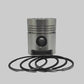 Piston + Set segmenti (1,00 - Diametru: 99,00 mm): SAME / LAMBORGHINI / 982 P / 983 P / 984 P / 986 P / Nr. referinta: 0,053,0062,6-S