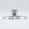 Piston + Set segmenti (1,00 - Diametru: 99,425 mm): LISTER / TR-1 / TR-2 / TR-3