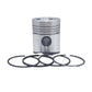 Piston + Set segmenti (1,00 - Diametru:101,00 mm): SAME / LAMBORGHINI / FL 1002 / FL 1003