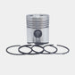 Piston + Set segmenti (1,00 - Diametru:101,00 mm): SAME / LAMBORGHINI / FL 1002 / FL 1003