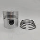 Piston + Set segmenti (STD - 105.00): VM / 1051 SU / 1052 SU / 1053 SU / 1054 SU / 1056 SU