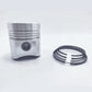 Piston + Set segmenti (STD - Diametru : 100 mm): LOMBARDINI / LDA 100 / 4LD 705