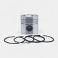 Piston + Set segmenti (STD - Diametru: 100,00 mm - Ø35 PIN - LUNGIME: 113,4 mm): MWM / D 227-2 / D 227-3 / D 227-4 / D 227-6 / D 227-6 / D 34-2 / D 37-2 / D 37-2 D 327-6 / Nr. referinta: 7701030041