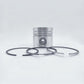 Piston + Set segmenti (STD - Diametru: 100,00 mm): LISTER / TX-1 / TX-2 / TX-3 / Nr. referinta: 570-35810-S