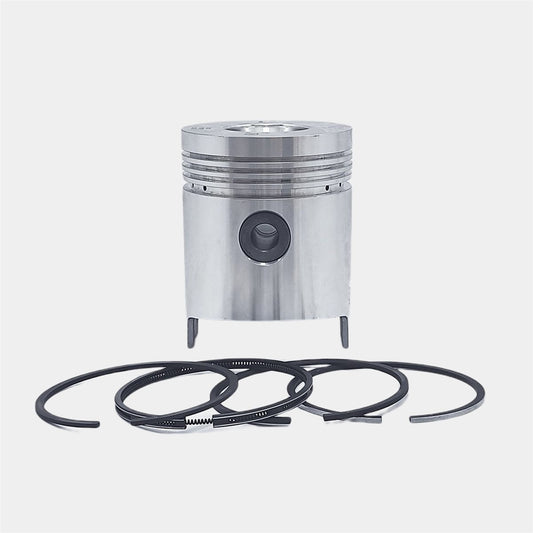 Set piston si segmenti (STD - Diametru: 100.00 mm): RUGGERINI / CRD 100 / RP 170 / CRD 100-2 / RP 320 / Nr. referinta: 2183-S