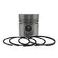 Piston + Set segmenti (STD) - Diametru : 100,00 mm): VM / 101 SU / 102 SU / 103 SU / 104 SU / 106 SU