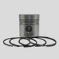 Piston + Set segmenti (STD) - Diametru : 100,00 mm): VM / 101 SU / 102 SU / 103 SU / 104 SU / 106 SU