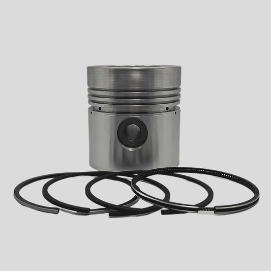 Piston + Set segmenti (STD) - Diametru : 100,00 mm): VM / 101 SU / 102 SU / 103 SU / 104 SU / 106 SU